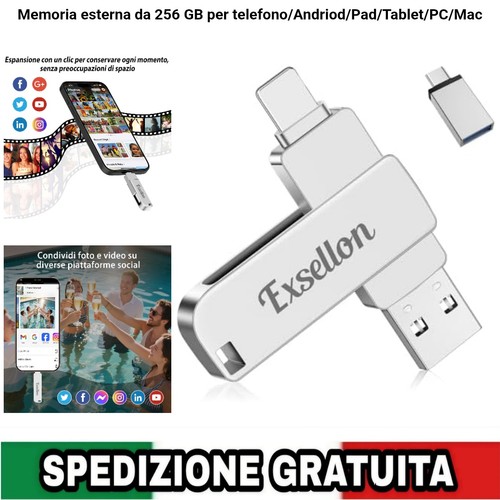 Chiavetta usb 256gb - in, 1