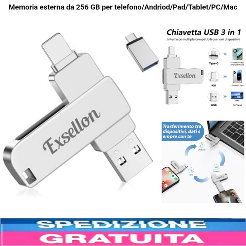 Chiavetta usb 256gb 1 - chiavetta, in